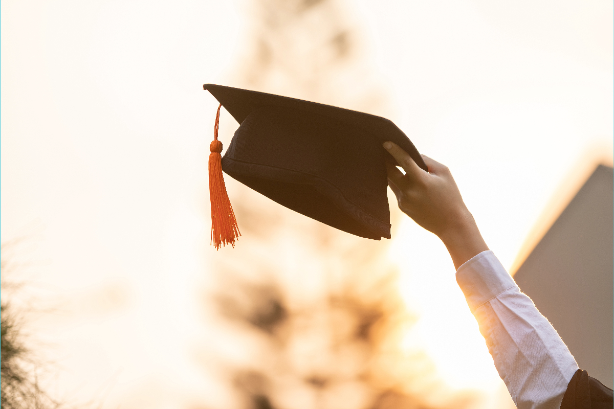 Higher Education Students Hub