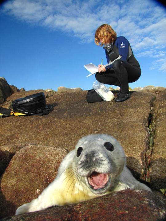 Bex Alle with a seal pup