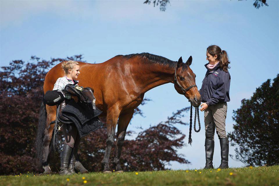 A horse, a lecturer and a student stood in a field.