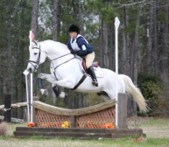 Horse jumping cross country fence