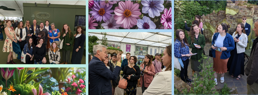 Photo collage Chelsea Flower Show