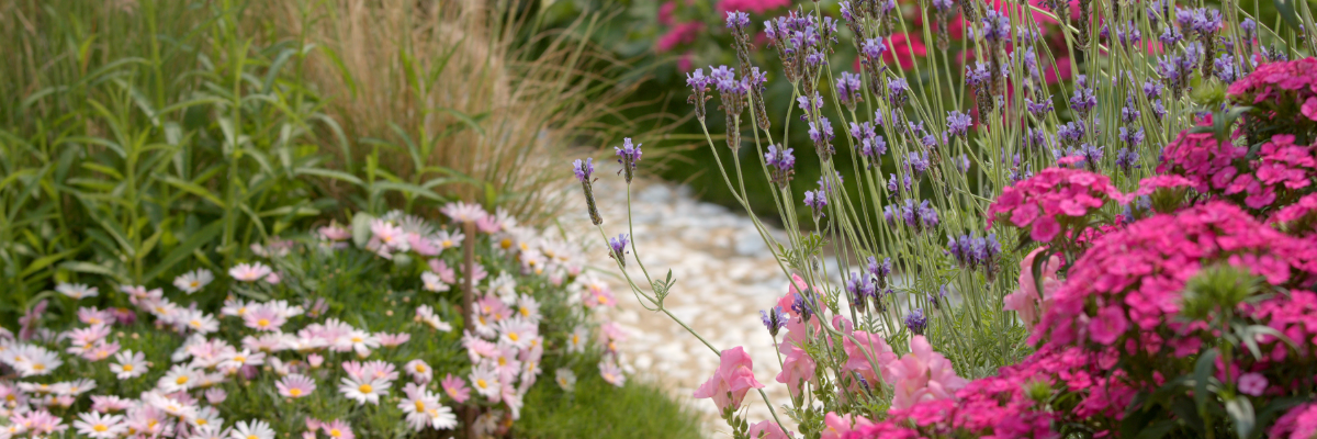 Garden with flowers.